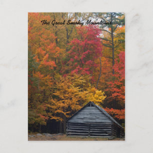 Kabine im Wald Postkarte