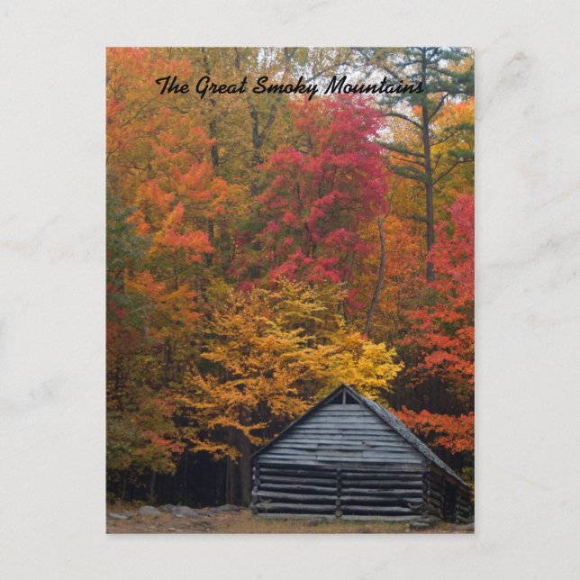 Kabine im Wald Postkarte (Vorderseite)