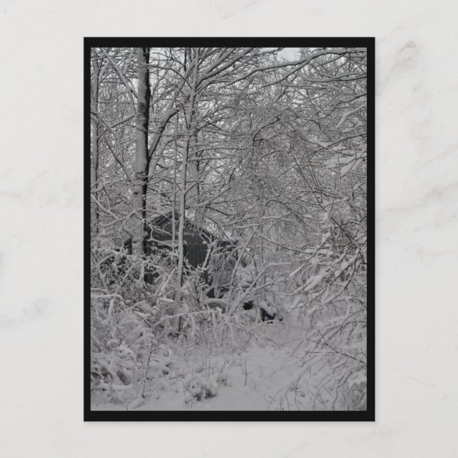 Kabine im Wald Postkarte (Vorderseite)