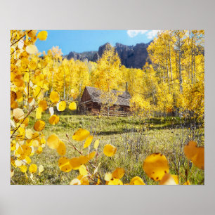 Kabine in Aspens Poster