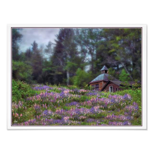 Kabine in der Lupine digital initialisiert Open Ed Fotodruck (Vorne)