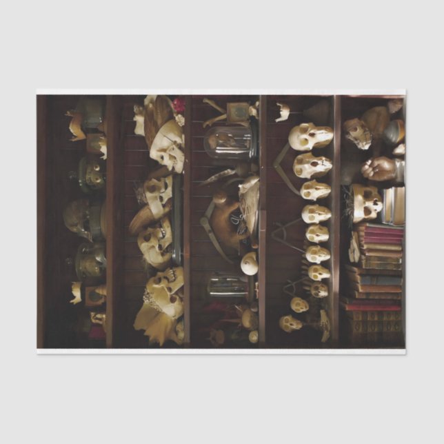 Kabinett der Kuriositäten Seidenpapier (Vorderseite)