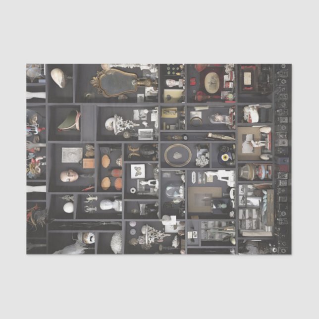 Kabinett der Kuriositäten Seidenpapier (Vorderseite)