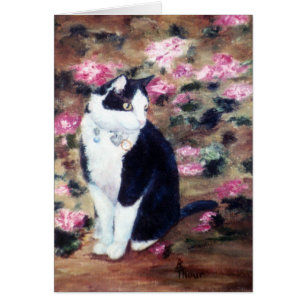 Kaboodles Katzen-leere Karte