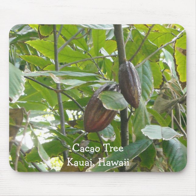 Kacao Tree, Kauai, Hawaii Mousepad (Vorne)
