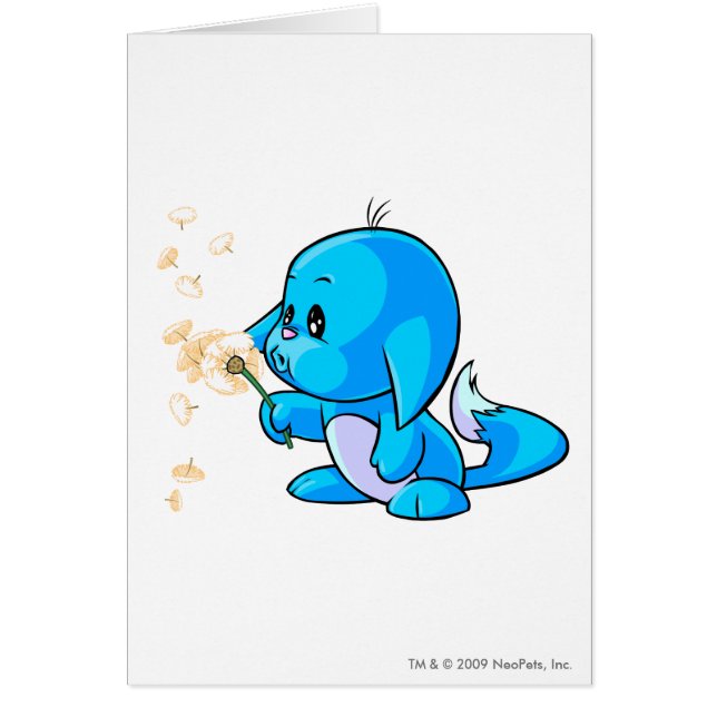 Kacheek Blau (Vorne)
