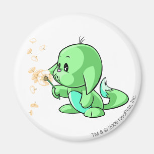 Kacheek Grün Magnet