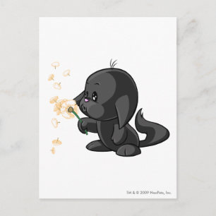 Kacheek Shadow Postkarte