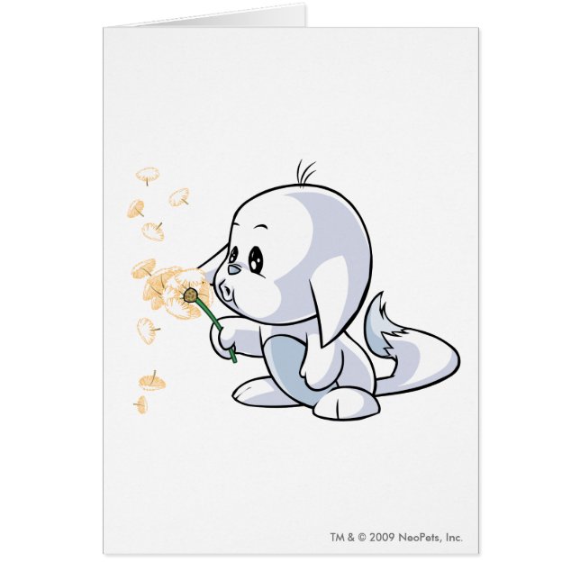 Kacheek Weiß (Vorne)