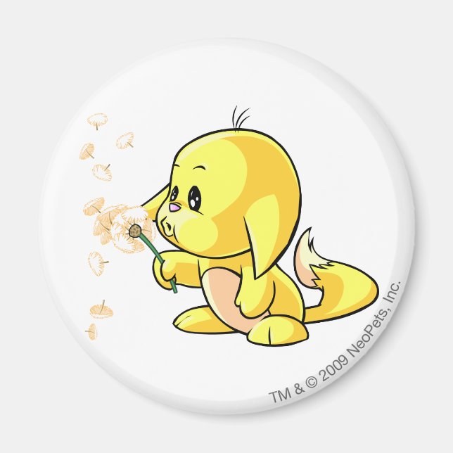 Kacheek Yellow Magnet (Vorne)