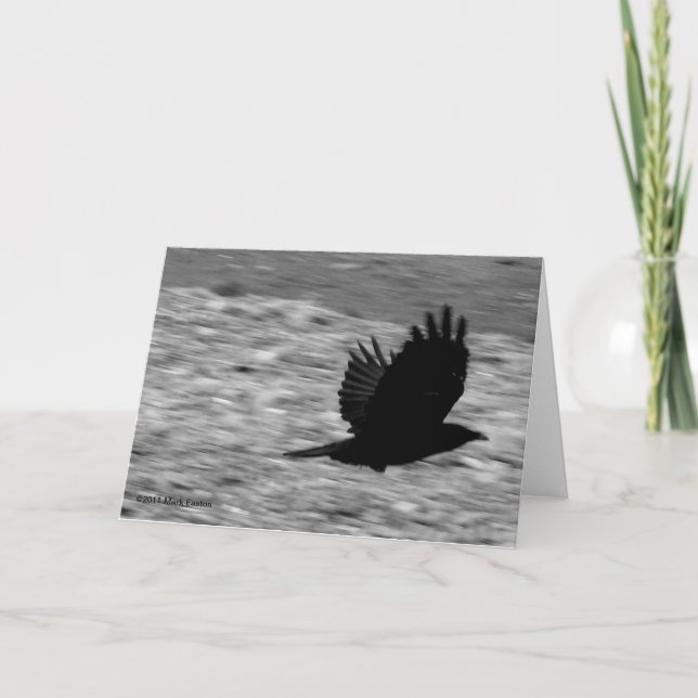 Kachemak Bucht-Rabe Karte (Vorderseite)