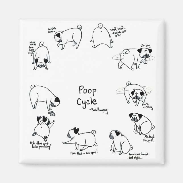 Kack-Zyklus Magnet (Vorne)