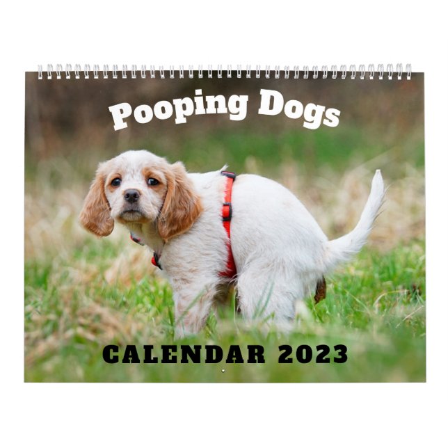 Kackend Hunde Kalender 2023, Hunde (Titelbild)
