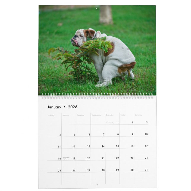 Kackend Hunde Kalender 2023, Hunde (Jan 2026)