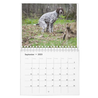 kackend Hunde-Kalender 2023 Kalender