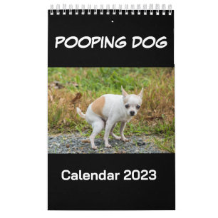Kackend Hundekalender 2023 Kalender