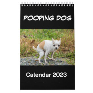 Kackend Hundekalender 2023 Kalender