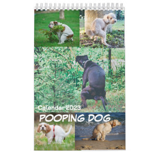 Kackend Hundekalender 2023 Kalender