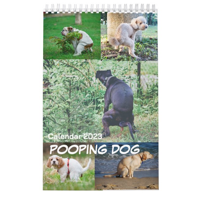 Kackend Hundekalender 2023 Kalender (Titelbild)