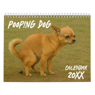 Kackend Hundekalender 2026 Kalender