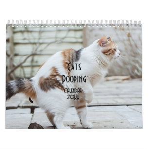 Kackend Katzen-Kalender 2026 Kalender
