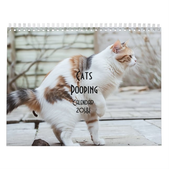 Kackend Katzen-Kalender 2026 Kalender (Titelbild)