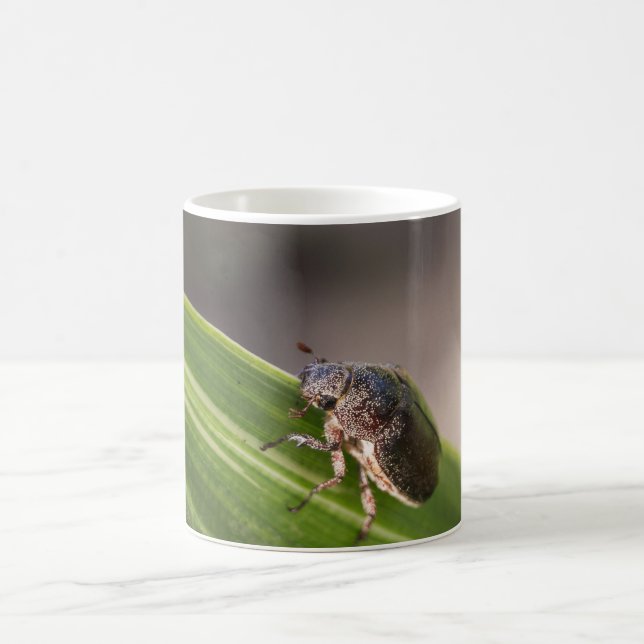 Käfer 01 kaffeetasse (Mittel)