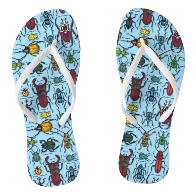 Käfer auf blau flip flops (Fußbett)