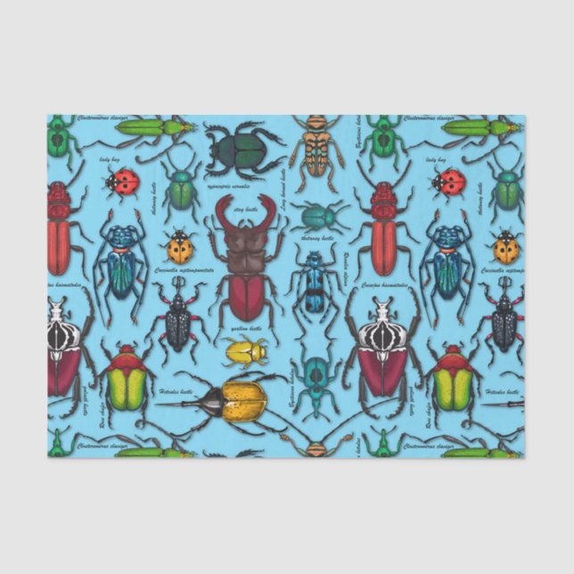 Käfer auf blau seidenpapier (Vorderseite)