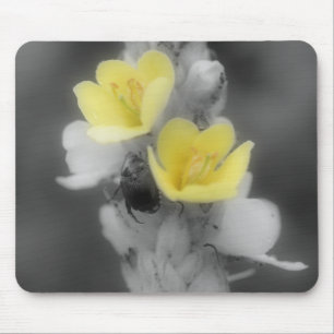 Käfer auf der Blume Mullein Schwarz-weiß Mousepad
