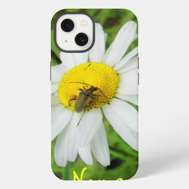 Käfer auf einem Deich iPhone Hülle (Rückseite)