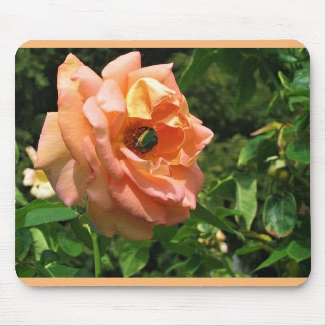 Käfer auf einer Rose Mousepad (Vorne)