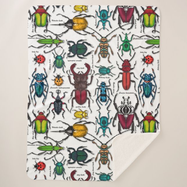 Käfer auf weiß sherpadecke (Vorderseite)