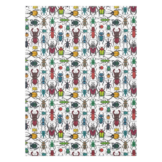 Käfer auf weiß tischdecke (Vorderseite)