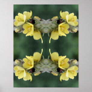 Käfer auf Wild-Mullein-Blume Abstrakt Poster