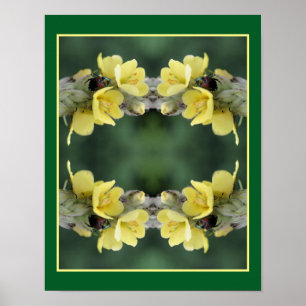 Käfer auf Wild-Mullein-Blume Abstrakt Poster