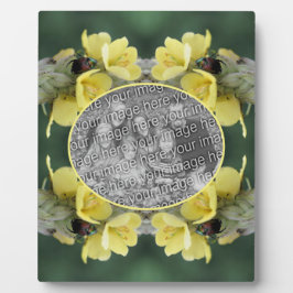 Käfer auf Wild-Mullein-Blume Foto hinzufügen Fotoplatte