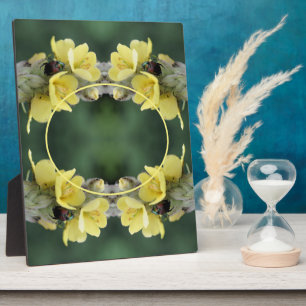 Käfer auf Wild-Mullein-Blume Foto hinzufügen Fotoplatte