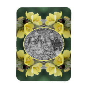 Käfer auf Wild-Mullein-Blume Foto hinzufügen Magnet