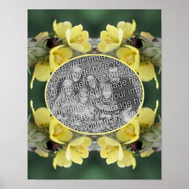 Käfer auf Wild-Mullein-Blume Foto hinzufügen Poster (Vorne)
