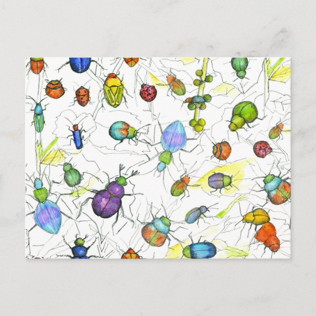 Käfer Bugs Insekten Crawling Blätter Twigs Postkarte (Vorderseite)