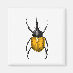 Käfer Magnet
