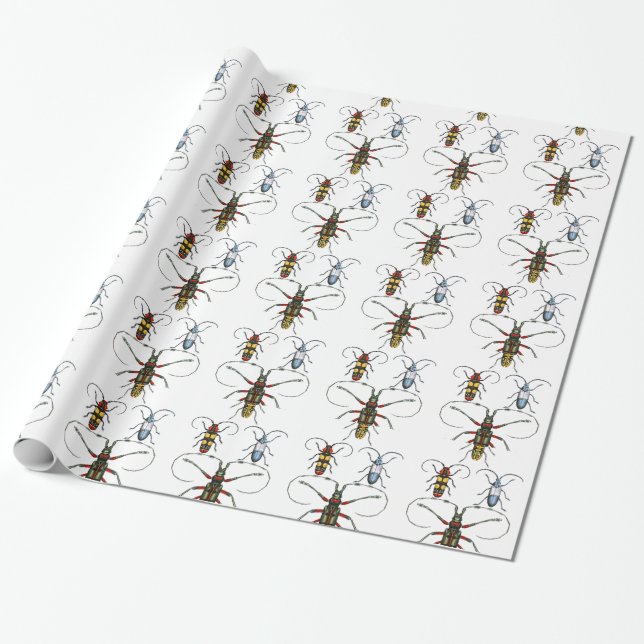 Käfer Papierverpackung Geschenkpapier (Ungerollt)