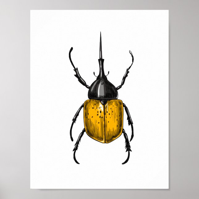 Käfer Poster (Vorne)