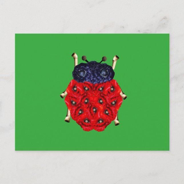 Käfer Postkarte (Vorderseite)
