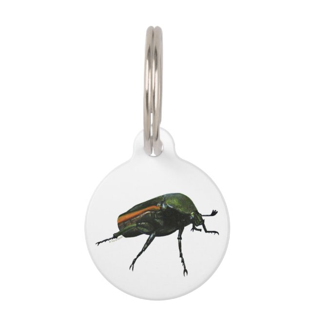 Käfer-Round-Pet-Tag Haustiermarke (Vorderseite)
