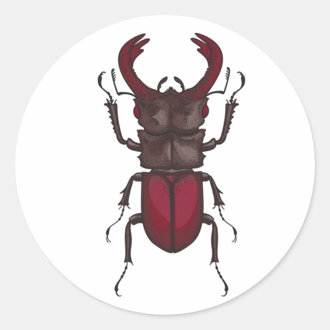 Käfer Runder Aufkleber (Vorderseite)