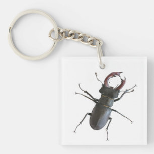 Käfer Schlüsselanhänger