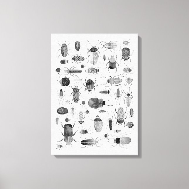 Käfer Schwarz & Weiß Leinwanddruck (Vorderseite)