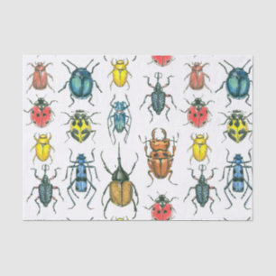 Käfer Seidenpapier